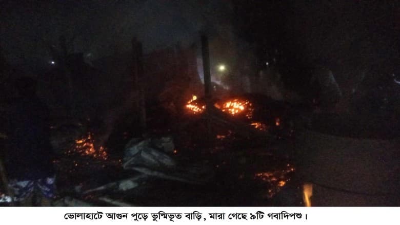 ভোলাহাটে আগুনে পুড়ে ভুস্মিভূত বাড়ি, মারা গেছে ৯টি গবাদিপশু