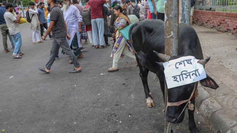 আ.লীগ নেতাদের নামে শাহবাগে গরু-ছাগল জবাই