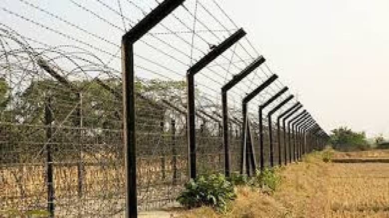 পাটগ্রাম সীমান্ত দিয়ে ২০ জনকে পুশইন