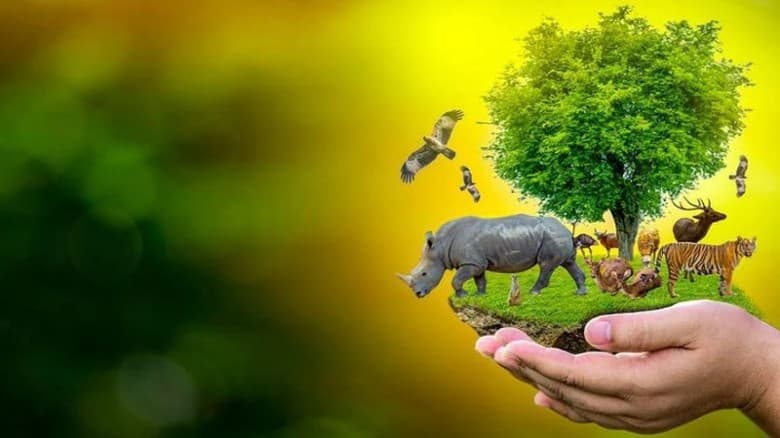 আজ আন্তর্জাতিক জীববৈচিত্র্য দিবস