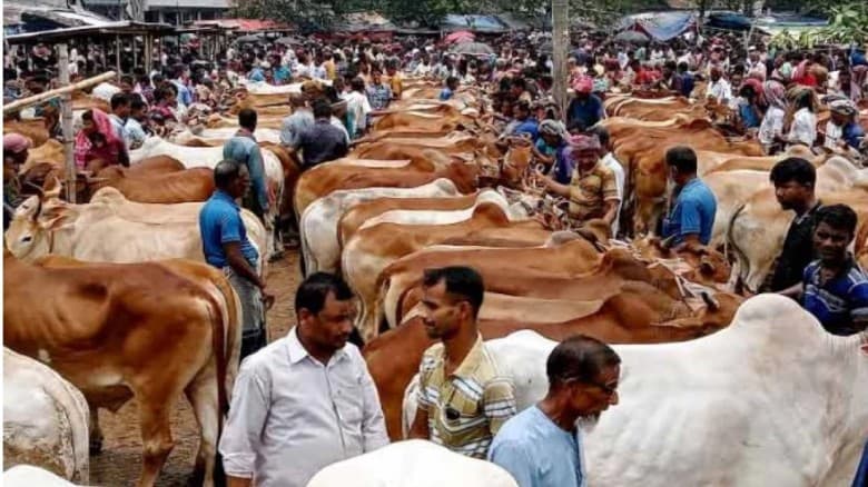 কোরবানির পশুর যেসব সমস্যা থাকলে কোরবানি হবে না
