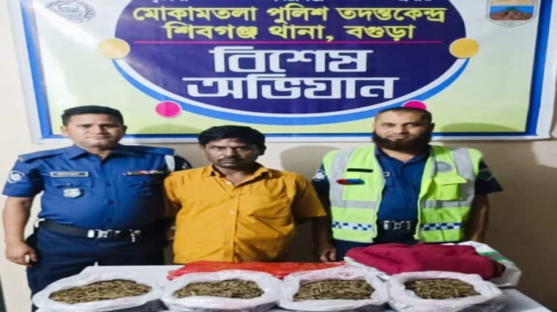 বগুড়ায় ৬ কেজি গাঁজাসহ একজন গ্রেফতার