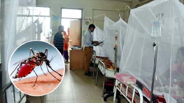 ডেঙ্গুতে আরও একজনের প্রাণহানি, ২৪ ঘণ্টায় হাসপাতালে ভর্তি ২০৯ জন