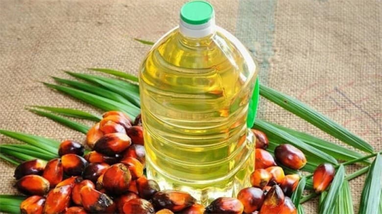 পাম তেলের দাম কমলো লিটারে ১৯ টাকা