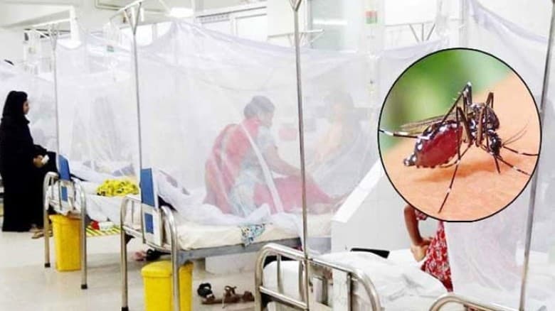 ডেঙ্গুতে ১ জনের মৃত্যু, নতুন ভর্তি ৩৮২