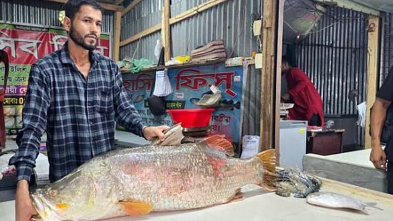 বঙ্গোপসাগরে ধরা পড়ল ২২ কেজির কোরাল মাছ