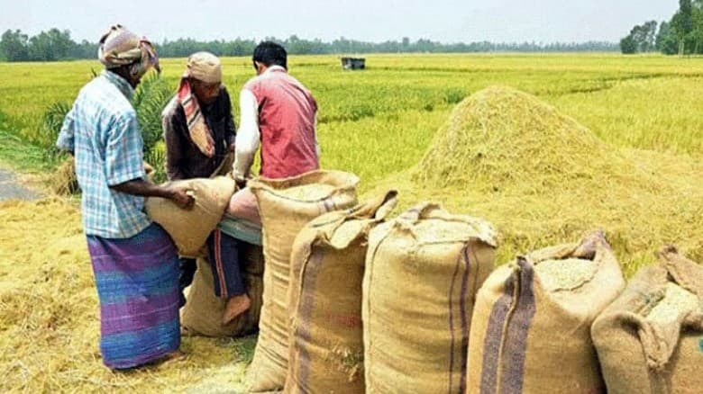 বোরো মৌসুমে সর্বোচ্চ ধান-চাল সংগ্রহ সরকারের