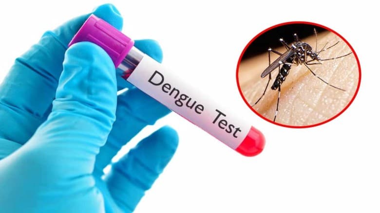 একদিনে ডেঙ্গুতে দুই মৃত্যু, হাসপাতালে ভর্তি ৩৬৪