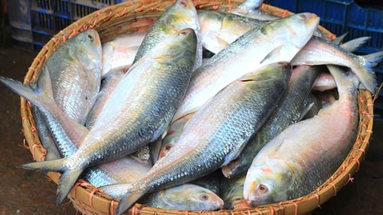 দুর্গাপূজায় ভারতে যাবে ১২০০ টন ইলিশ