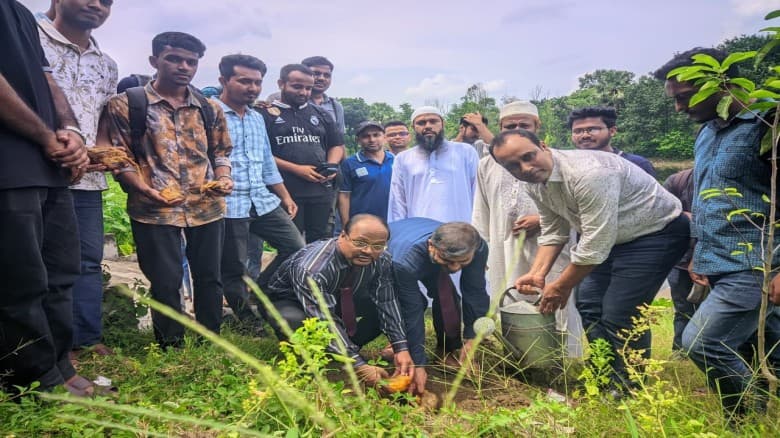 ইবি ক্যাম্পাসে দেড় হাজার তালবীজ বপন করবে ফলিত পুষ্টি ও খাদ্য প্রযুক্তি বিভাগ
