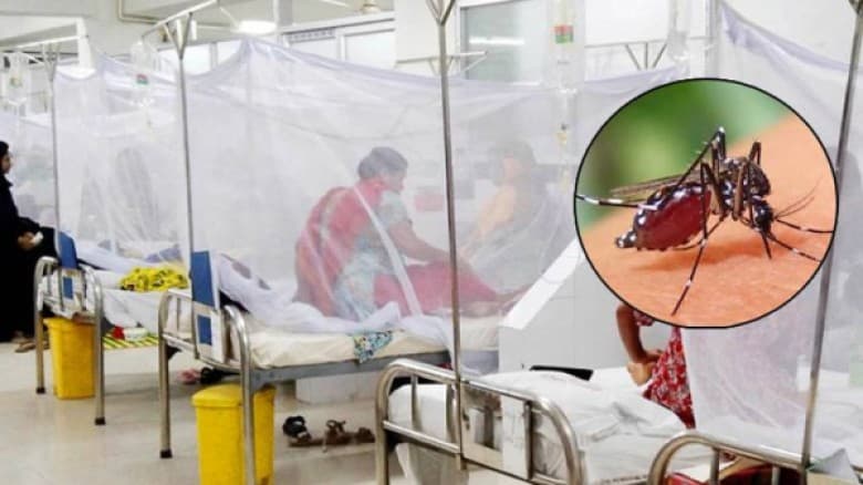 গত ২৪ ঘণ্টায় ডেঙ্গুতে আক্রান্ত ৫৮৬, মৃত্যু ৬জন