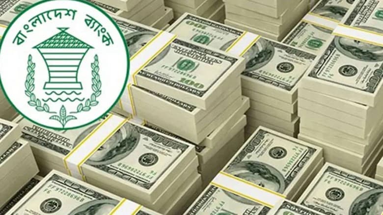 ১৫ দিনেই দেশে এসেছে ১৯ হাজার কোটি টাকা
