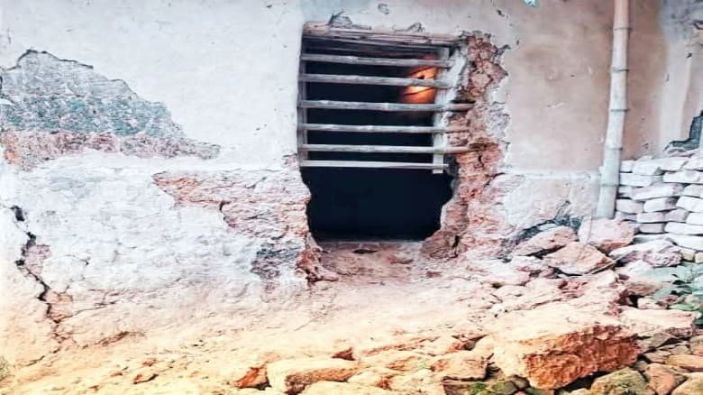 বগুড়ায় গোয়াল ঘরের মাটির দেয়াল ভেঙ্গে ৫  টি গরু চুরি