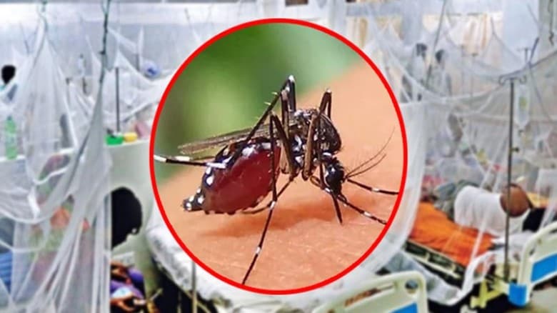 ২৪ ঘন্টায় ডেঙ্গুতে ১২ জনের মৃত্যু, ভর্তি ৭৪০ জন