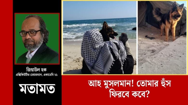 আহ মুসলমান! তোমার হুঁস ফিরবে কবে?