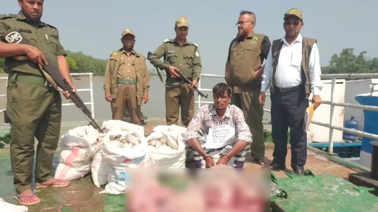 ৪৮ কেজি হরিণের মাংসসহ ১ শিকারি গ্রেপ্তার