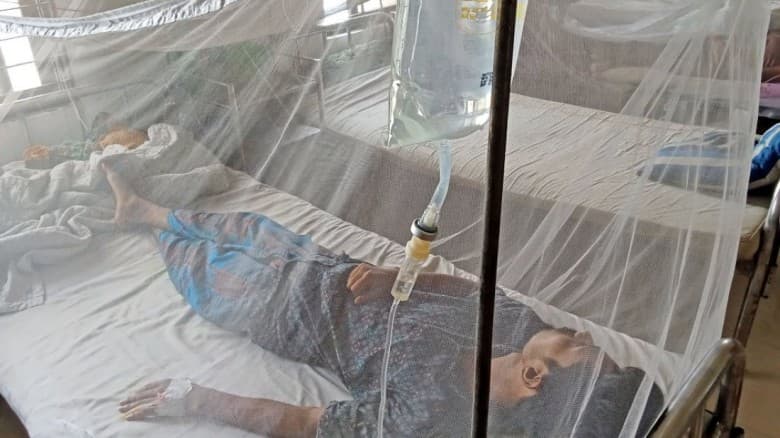 দাগনভূঞায় ডেঙ্গুর ভয়াবহ বিস্তার, আক্রান্ত দেড় শতাধিক