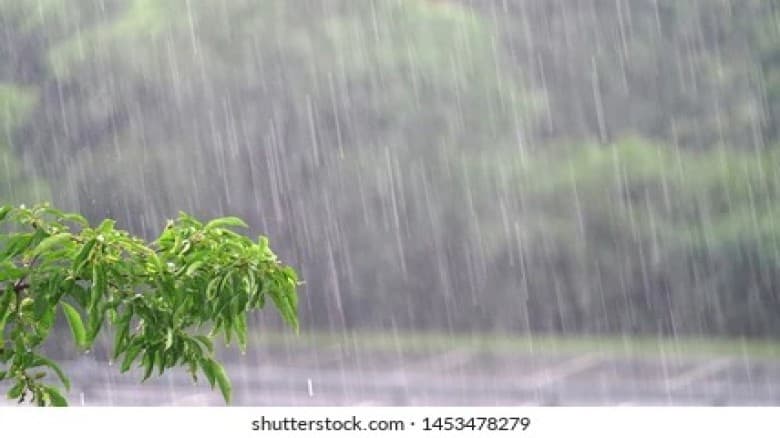 আগামী ৫ দিন সারা দেশে বৃষ্টি বা বজ্রবৃষ্টি প্রবণতা