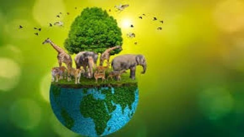 কষ্টদায়ক প্রাণী হত্যার ইসলামের নীতিমালা ও সীমারেখা