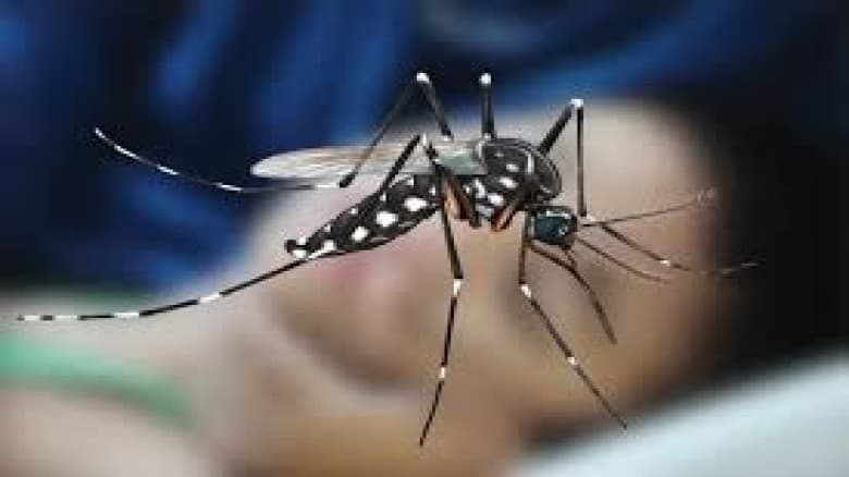 ডেঙ্গুতে ২৪ ঘণ্টায় আরও ৪ জনের মৃত্যু