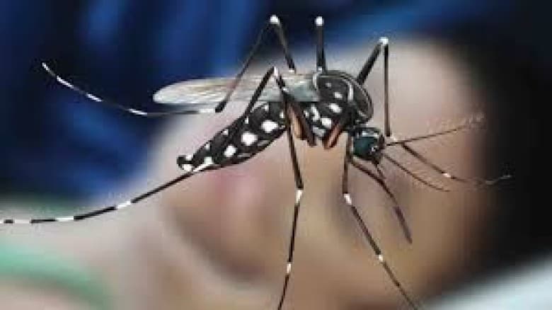 ডেঙ্গুতে ৮ জনের মৃত্যু, হাসপাতালে ভর্তি ৭৭৮ জন
