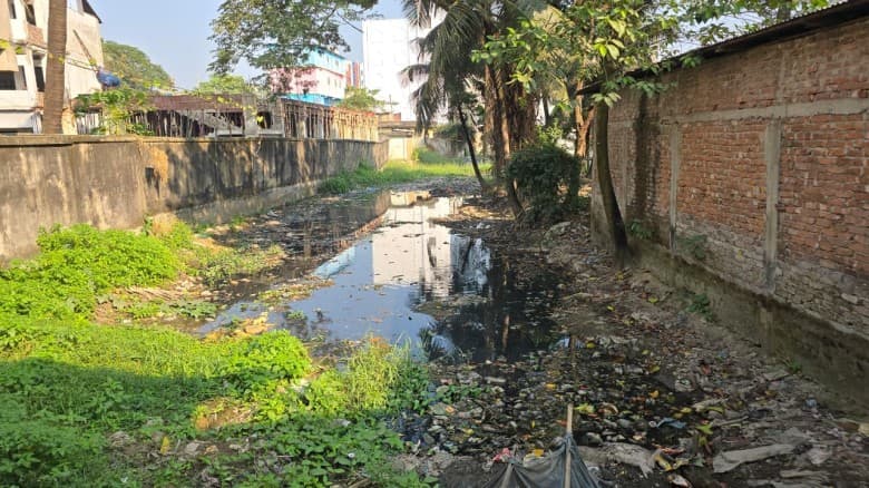 ফেনীর দাগনভূঞা দাদনা খাল ধ্বংসের ধারপ্রান্তে