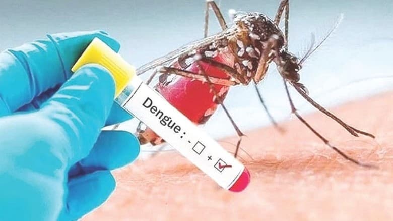 বছরজুড়ে ডেঙ্গুর দাপট, শতকোটি টাকা খরচেও নিয়ন্ত্রণে আসেনি মশা