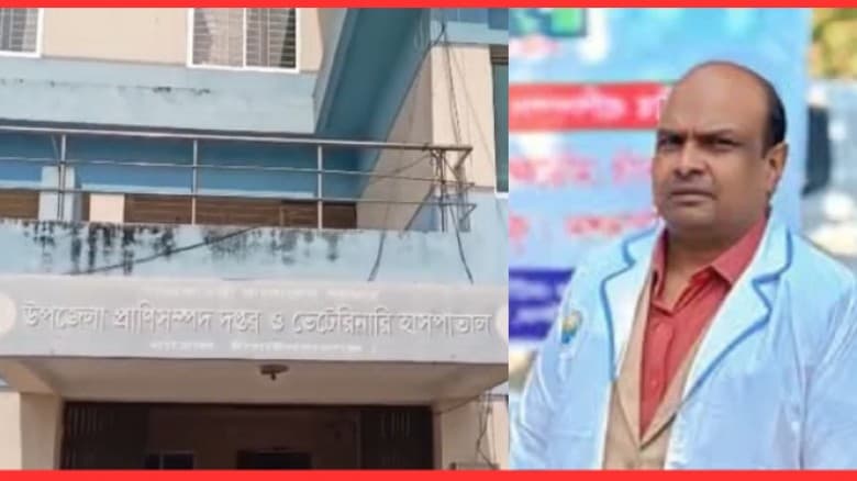 নাচোল সরকারি পশু হাসপাতালে গভীর রাতে পশু খাদ্য পাচারের অভিযোগ