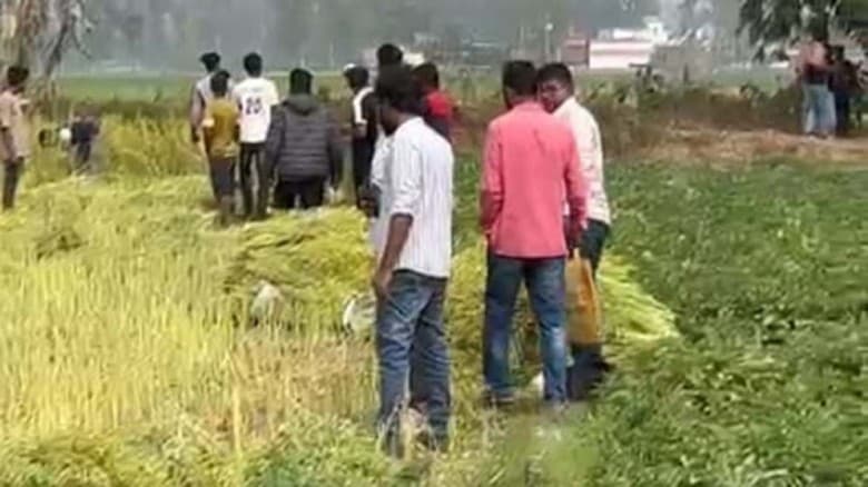কৃষকের সরিষা কেটে ফেলার অভিযোগ যুবদল নেতার বিরুদ্ধে