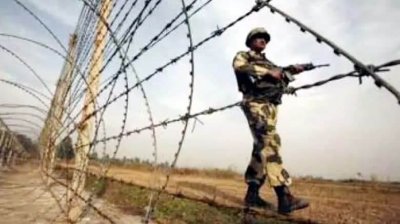সীমান্তে বিএসএফের হাতে দুই বাংলাদেশি আটক