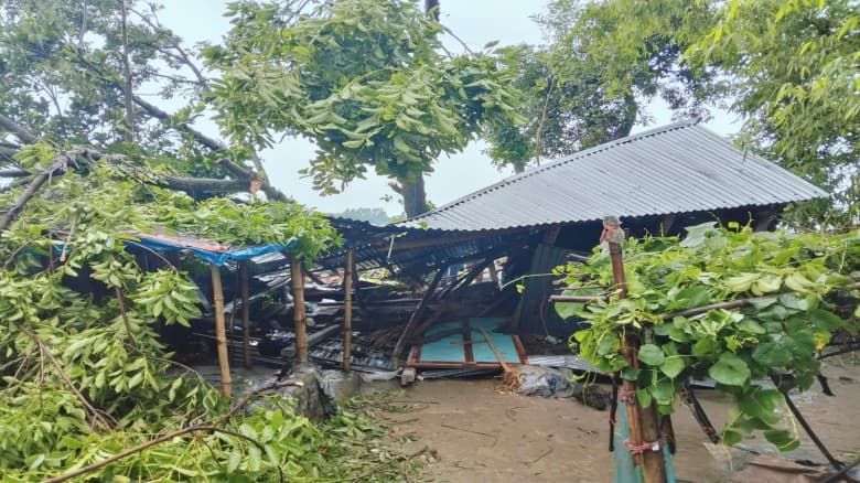 জামালপুরে কালবৈশাখী ঝড়ের তান্ডব, গাছ চাপায় মা ও দুই মেয়ের মৃত্যু