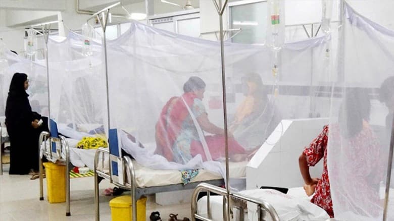 ডেঙ্গুতে গত ২৪ ঘণ্টায় আক্রান্ত আরও ২৫ জন