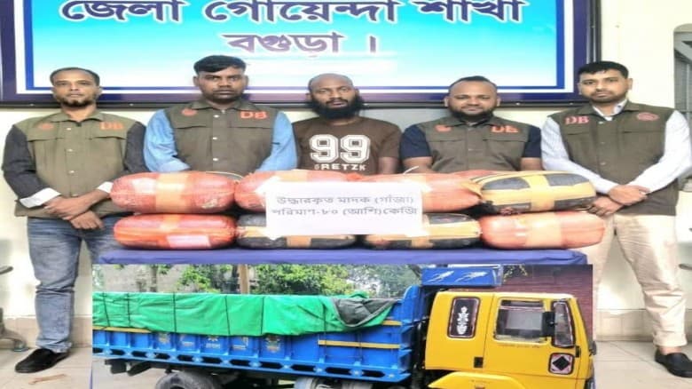 বগুড়ায় বালুভর্তি ট্রাকে মিলল ৮০ কেজি গাঁজা, আটক ১