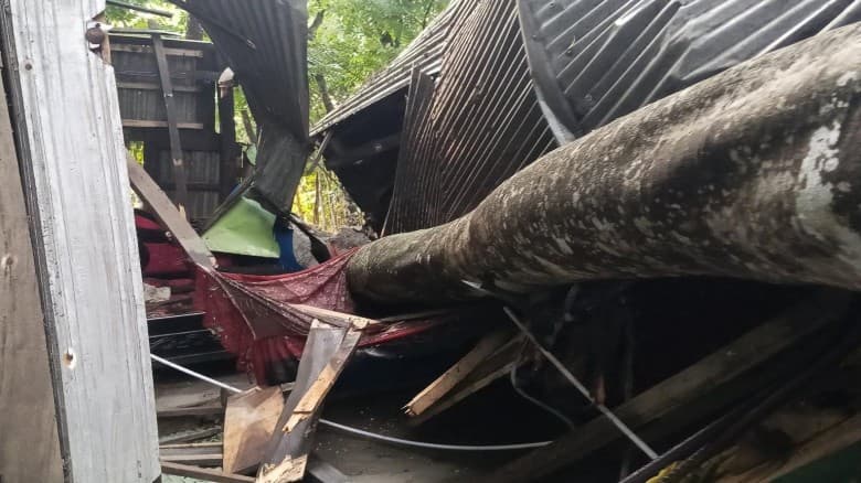 বানারীপাড়ায় কালবৈশাখী ঝড়ে ঘরের ওপর গাছ পড়ে গৃহবধু নি*হত