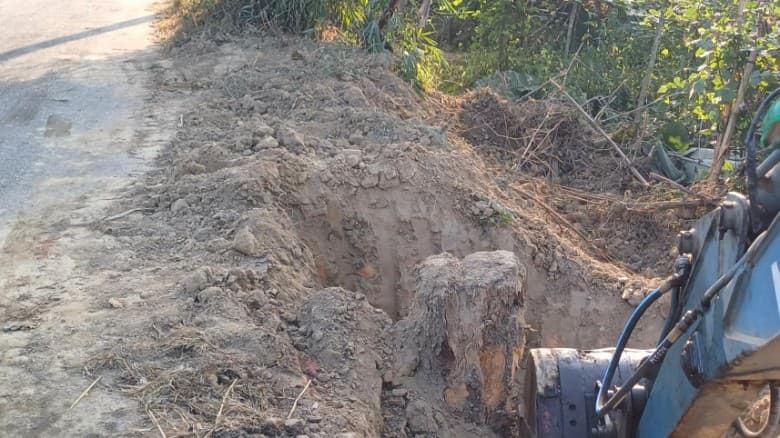বেড়িবাঁধ সংস্কারে ৩০ বছরের গাছ উপড়ে ফেলার অভিযোগ, ক্ষতিগ্রস্ত স্থানীয়রা
