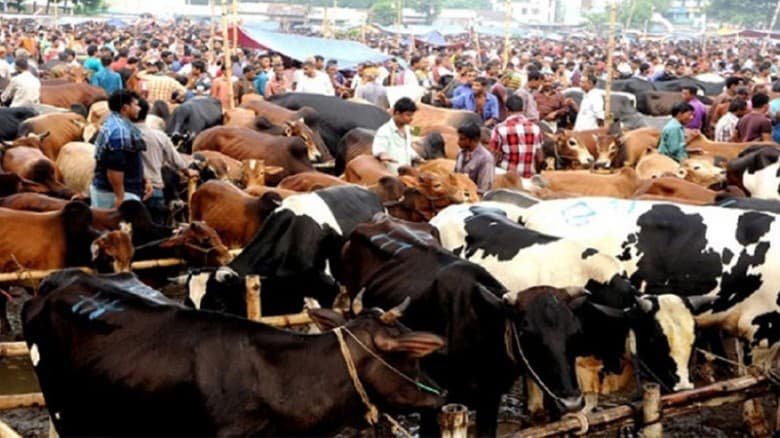 রাজধানীতে বসছে ২৮টি কোরবানির পশুর হাট