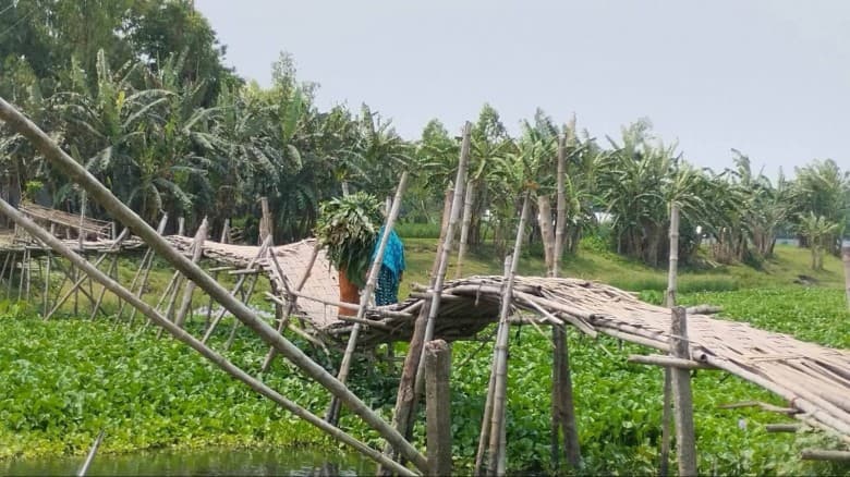 চরখোর্দ্দা গ্রামের মানুষের দুর্ভোগ চরমে, ঝুঁকিপূর্ণ বাঁশের সাঁকোই একমাত্র ভরসা
