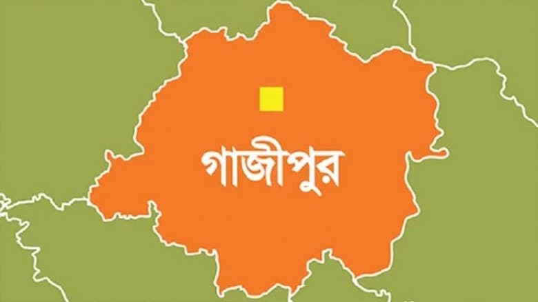 কাপাসিয়ায় প্রবাসীর স্ত্রী-সন্তানসহ পাঁচজনকে জবাই করে হত্যা