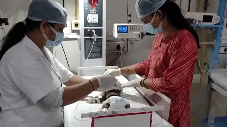 ভারতে জীবন্ত পুঁতে ফেলা কন্যাশিশু উদ্ধার, মৃত্যুর সঙ্গে পাঞ্জা লড়ছে