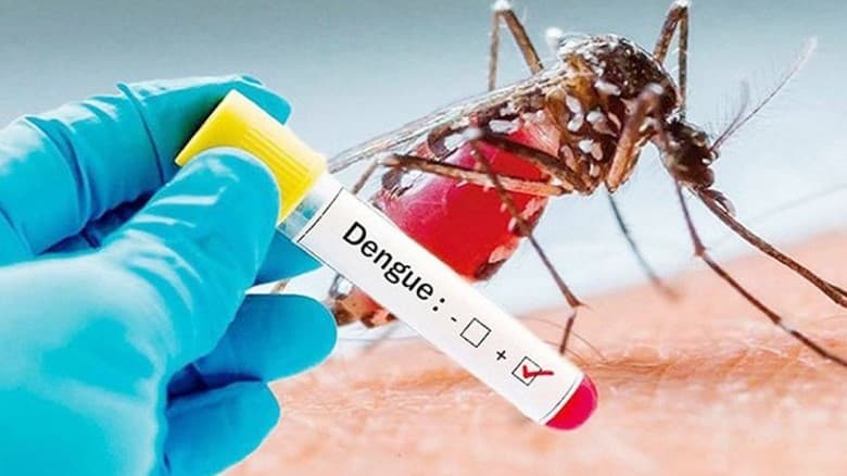ডেঙ্গুতে আক্রান্ত হয়ে হাসপাতালে ভর্তি ৩৮২