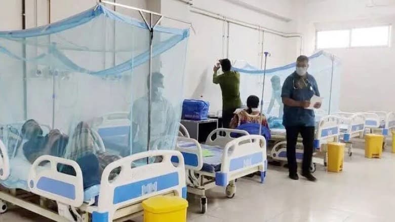 ডেঙ্গুতে আরও ৯ জনের মৃত্যু, হাসপাতালে ভর্তি ১০৪২