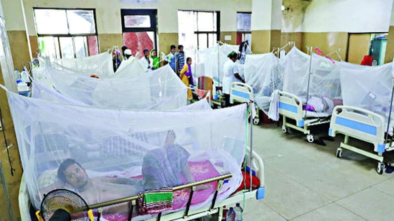 ডেঙ্গুতে একদিনে ৫ জনের মৃত্যু, হাসপাতালে ভর্তি ৯৫৩