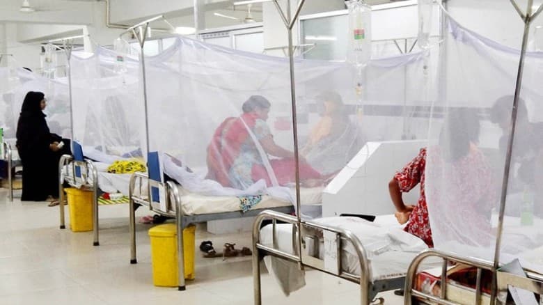 ডেঙ্গুতে অর্ধেকের বেশি মারা যাচ্ছে তরুণরা