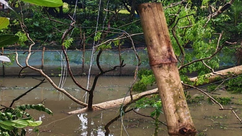 কালবৈশাখীর ঝড়ে লণ্ডভণ্ড বিদ্যুৎ লাইন,৭৫ গ্রামে চরম ভোগান্তি